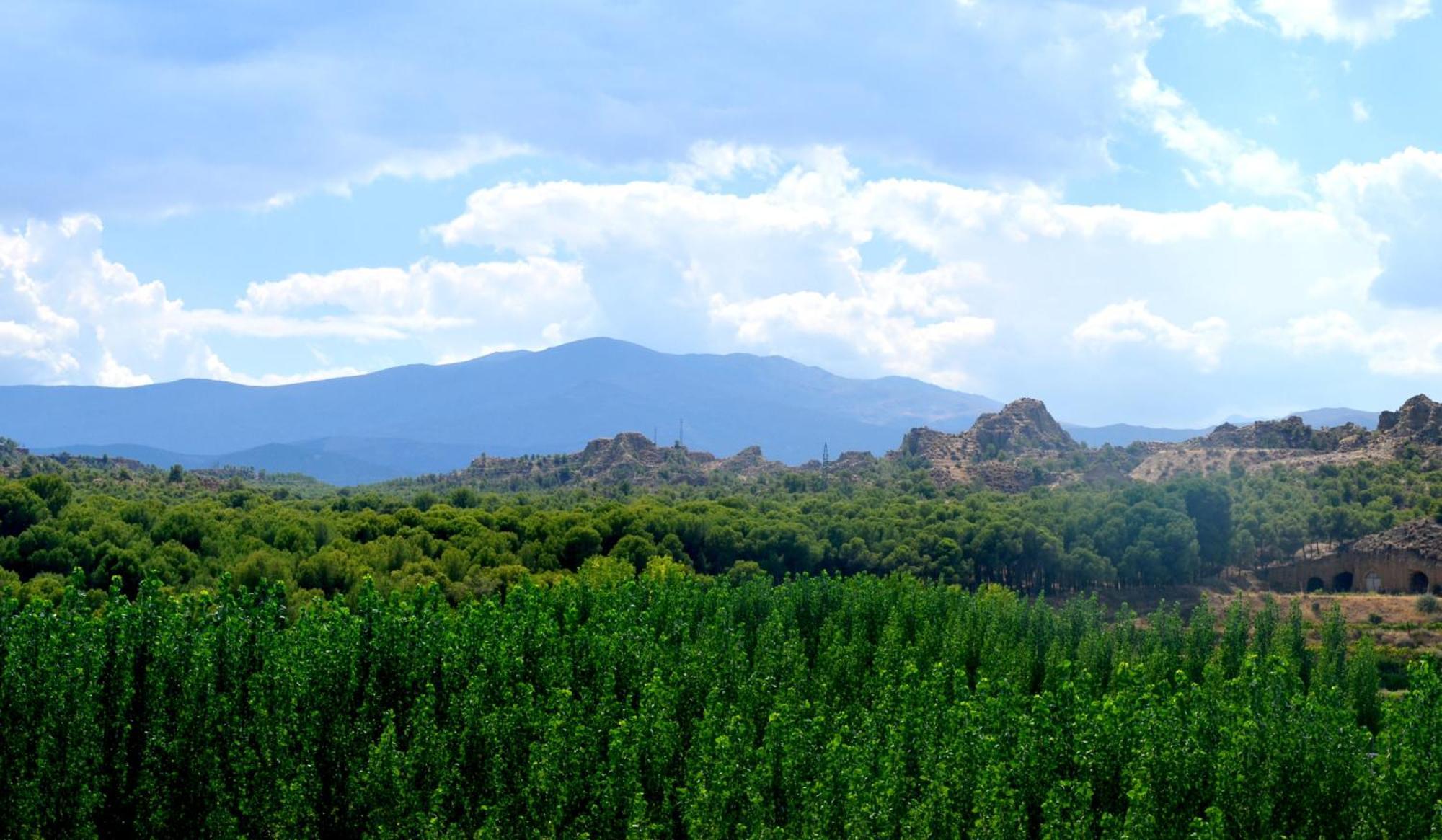 Villa Cuevas Cortijo Gachas Guadix Esterno foto